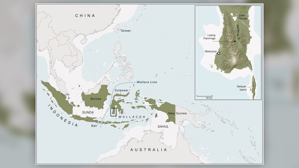 Click to enlarge Sulawesi Wallacea
