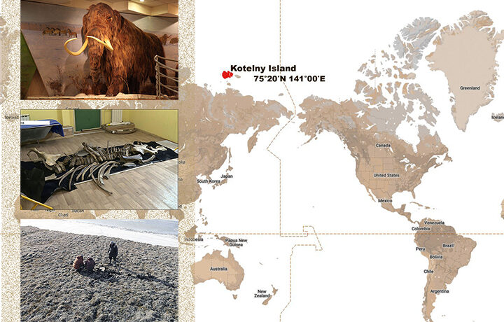 Click to enlarge Palaeolithic mammoth