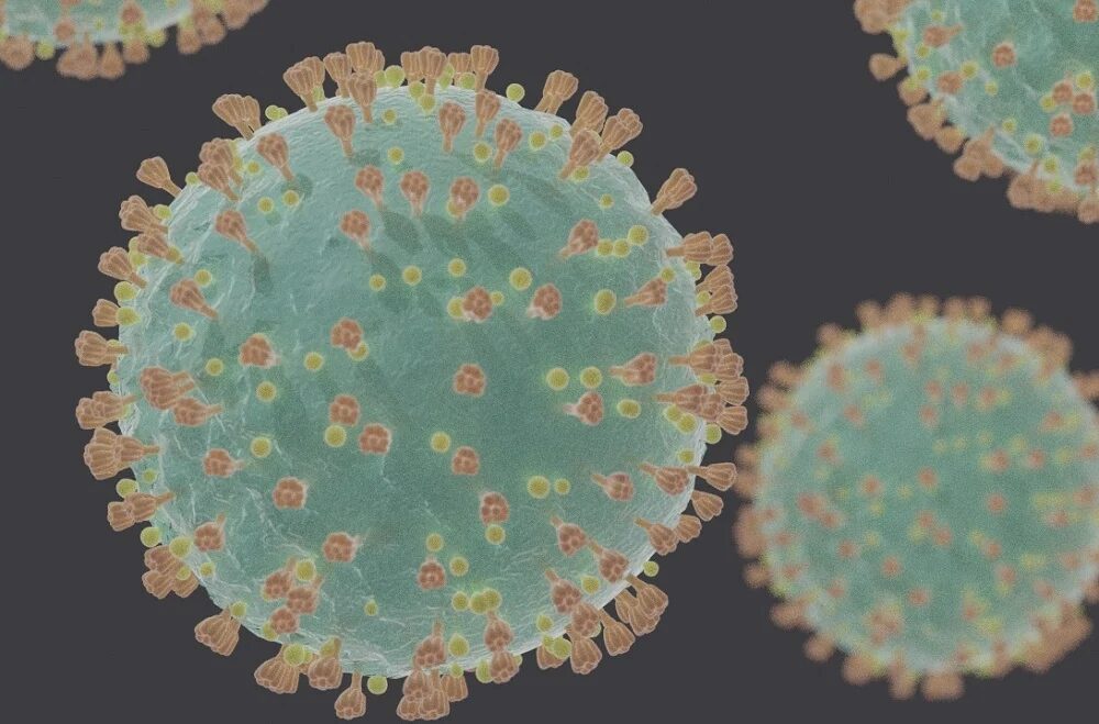 coronavirus