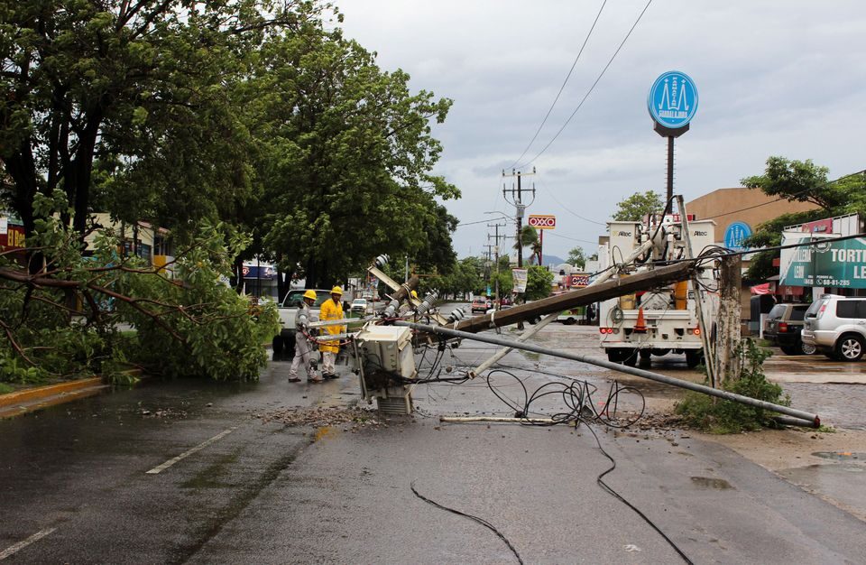 A fallen tree and electricity pole are pictured as Hurricane Nora approaches Manzanillo, in Colima state, Mexico August 28, 2021.