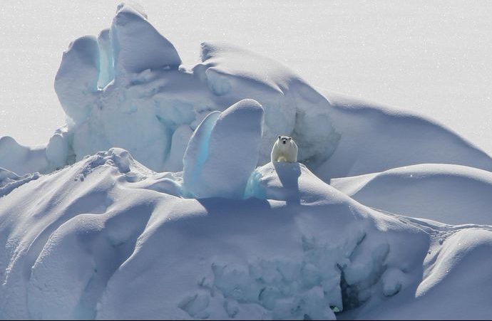 Click to enlarge arctic