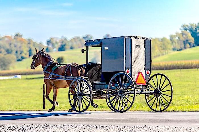 Horse and carriage