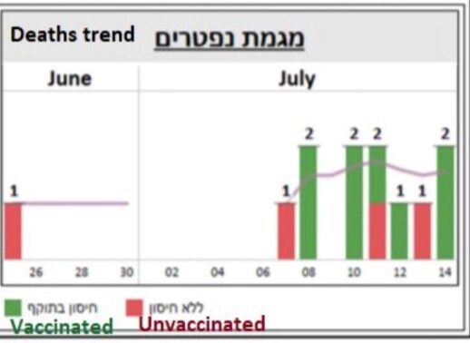 covid related deaths