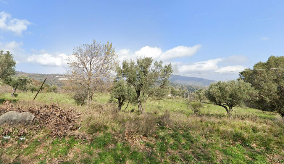 Cavallaro and her boyfriend had gone for a walk in the woods near the Italian town of Satriano