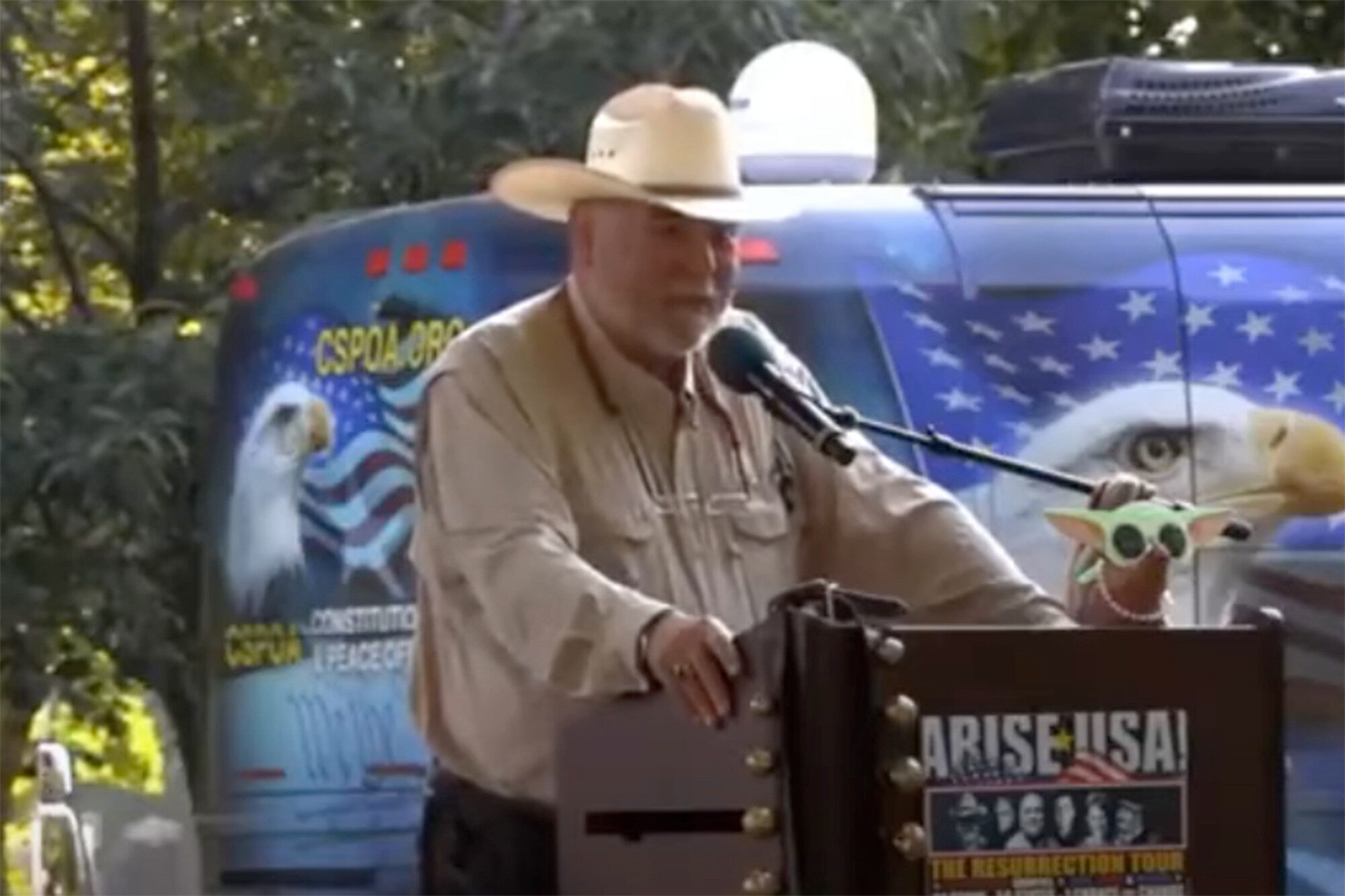 Click to enlarge Robert David Steele