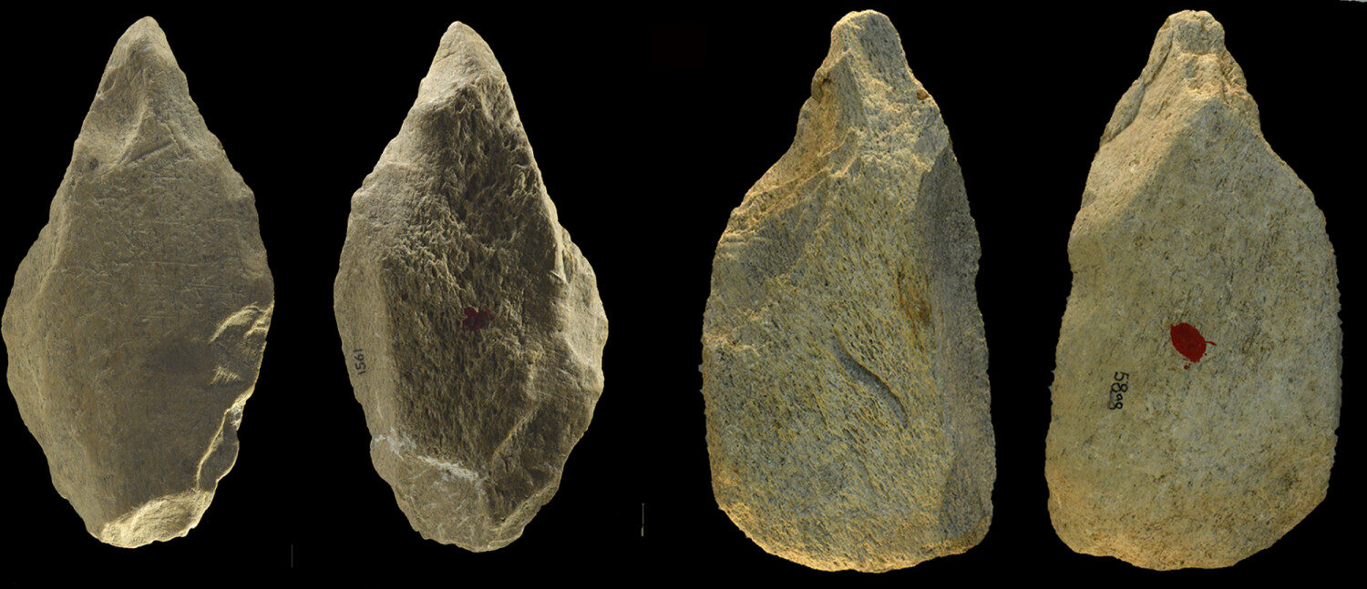 Click to enlarge Bone tools excavated from Castel di Guido in Italy.