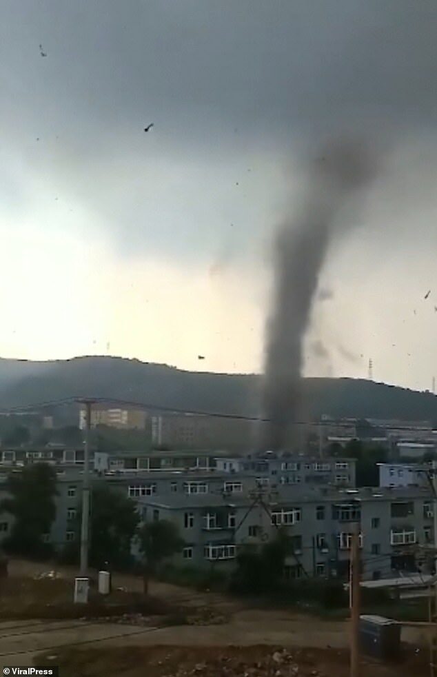 The tornado damaged 50 homes in Huludao city in China's northeastern province of Liaoning, as well as ripping out trees. One person was taken to hospital for treatment following the storm