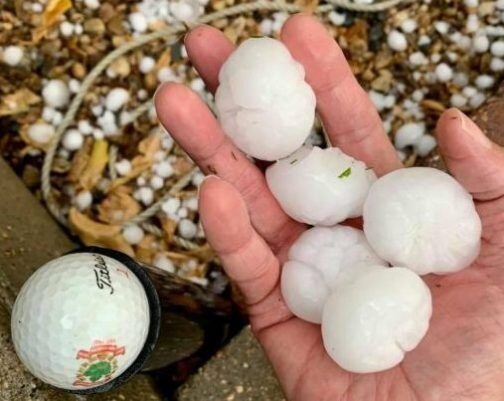 Click to enlarge Assiniboia resident Dianne Bamford holds up pieces of hail next to a golf ball, following a storm on Tuesday morning.