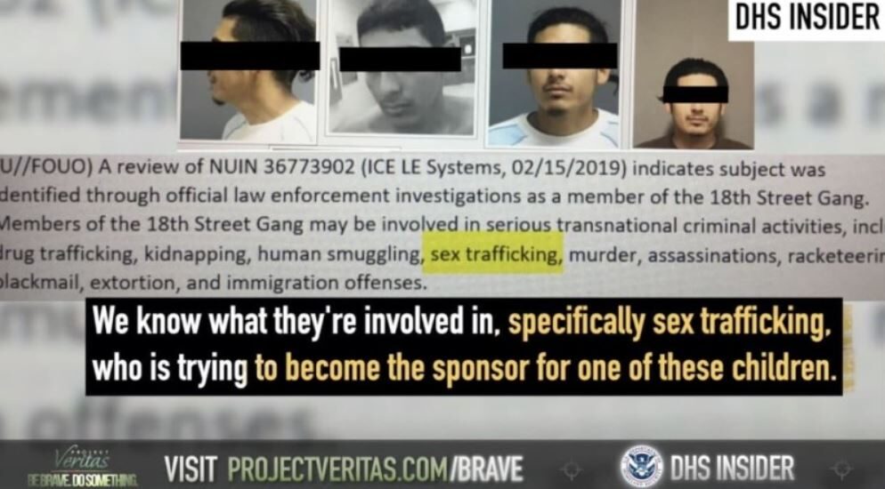 Click to enlarge project veritas sex abuse