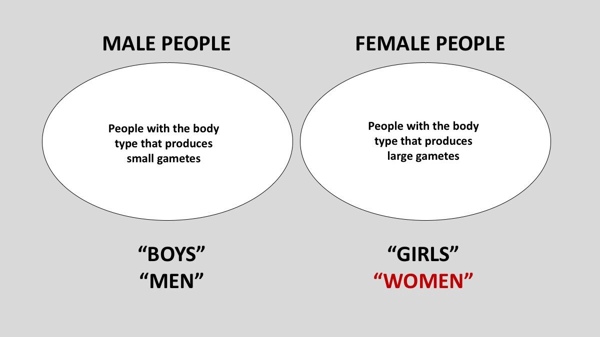 Click to enlarge Male, female people chart