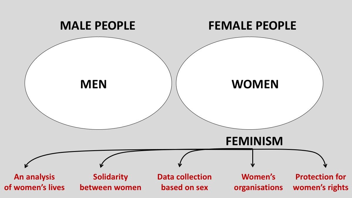 Click to enlarge Feminism chart