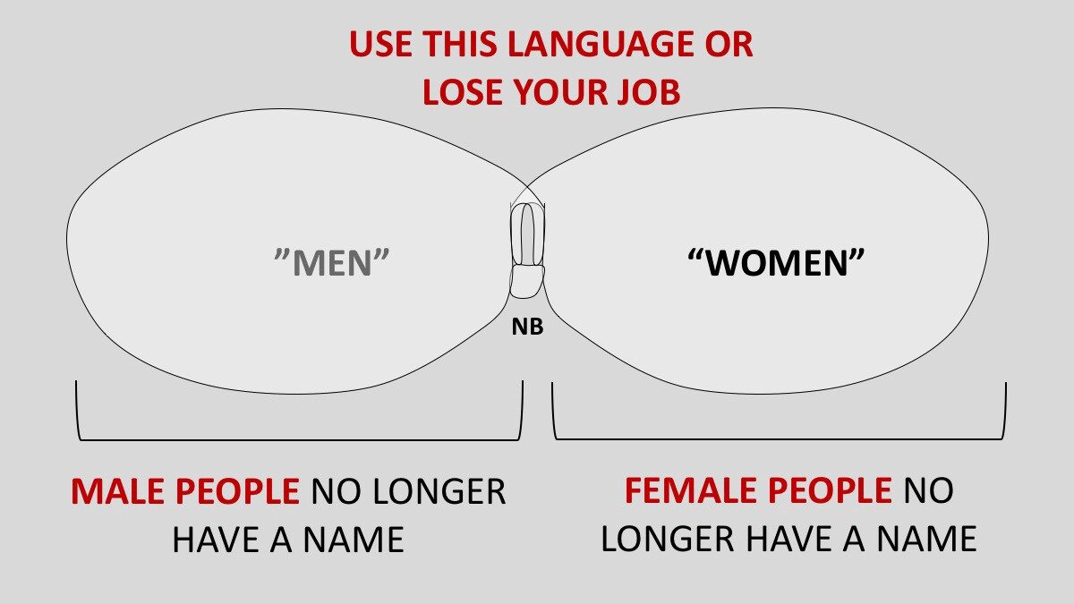Click to enlarge Gender new language