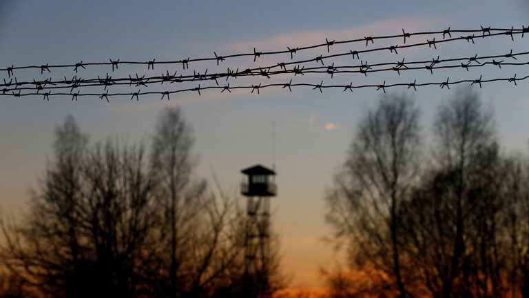 barbed fence