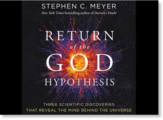 meyer god
