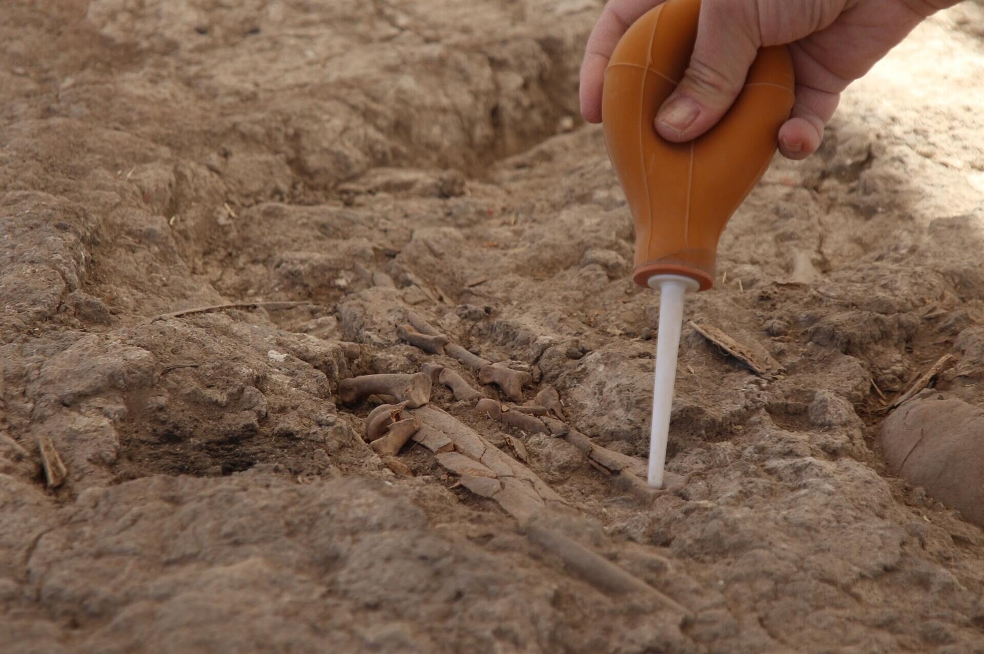 Çatalhöyük