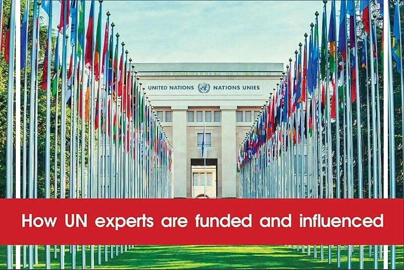 report UN Soros capture ngo