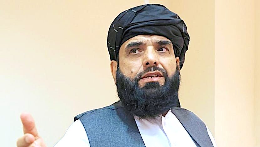 Click to enlarge Shaheen