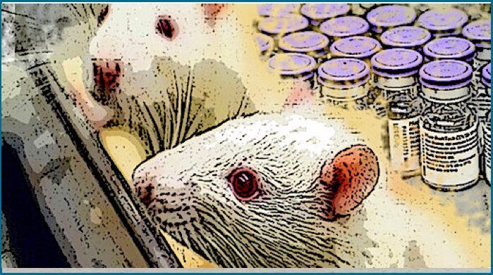 rats and vacs