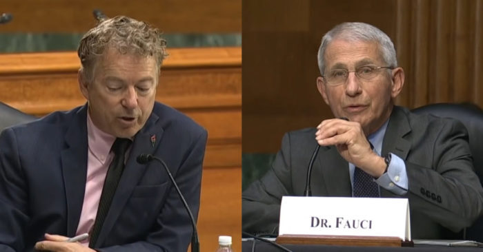 Anthony Fauci Rand Paul
