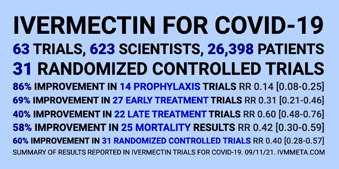 Click to enlarge Ivermectin summary