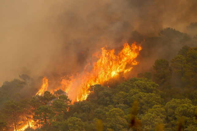 The wildfire is the most devastating of the last decade in Malaga province
