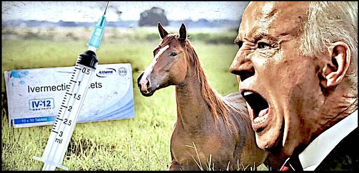 Click to enlarge Biden horse