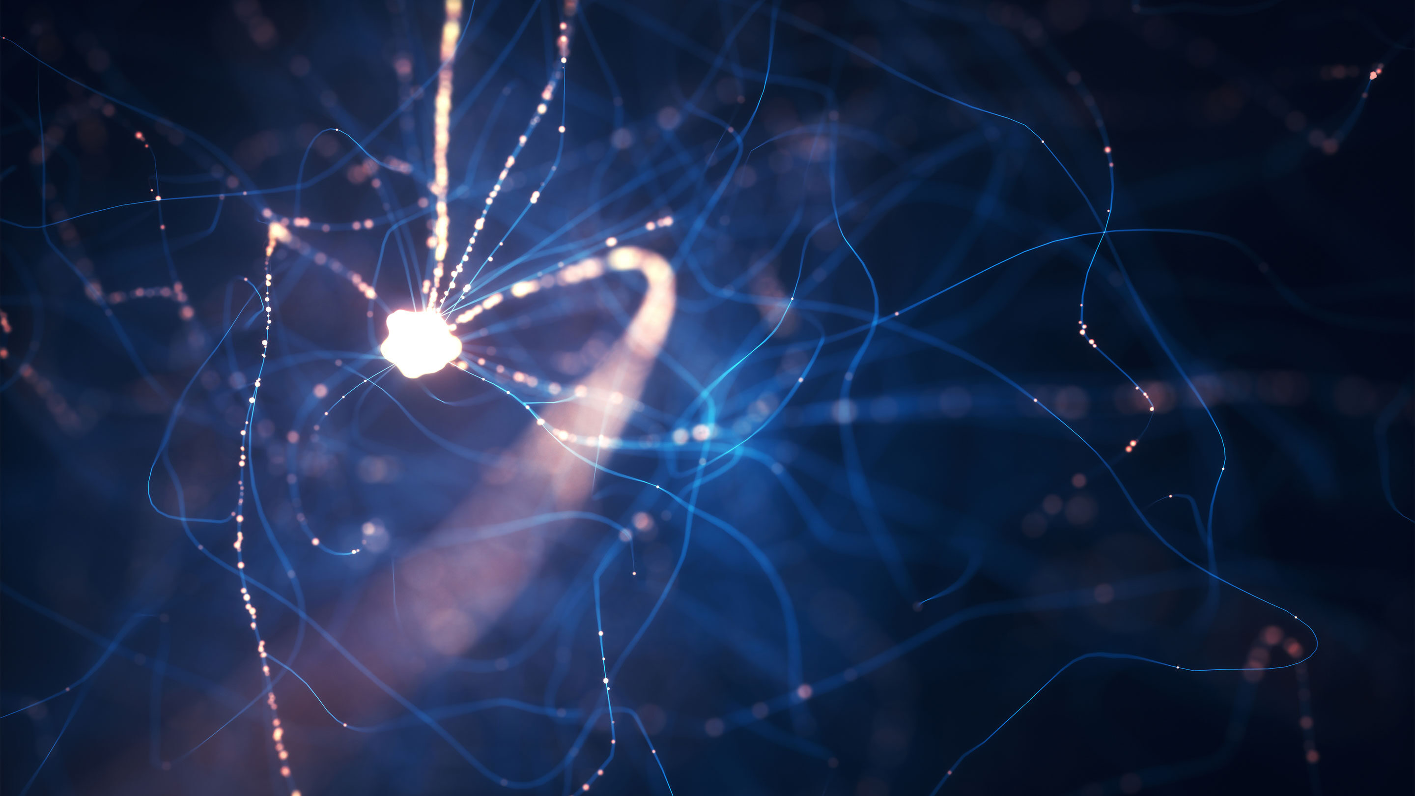 neuron
