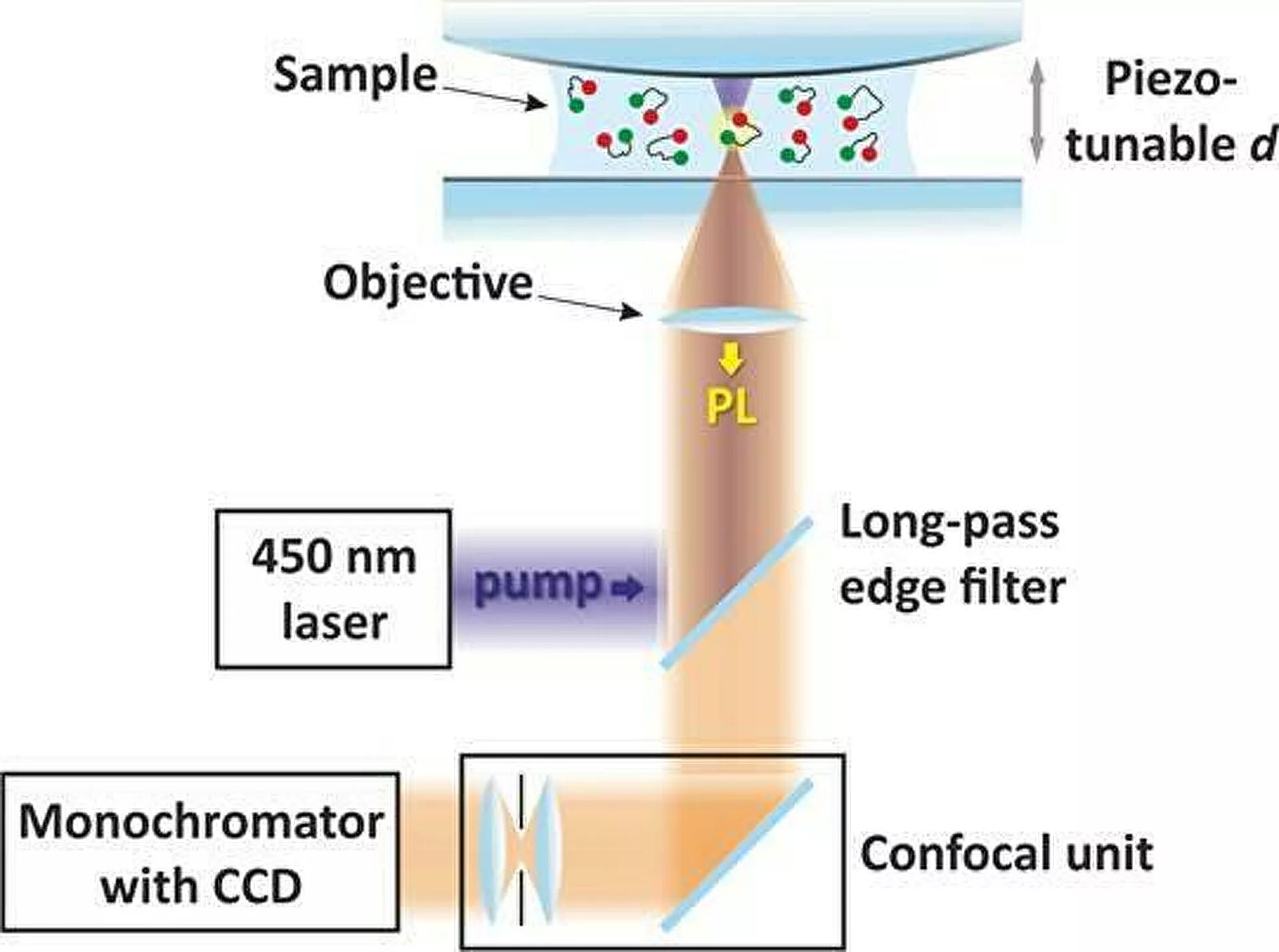 Quantum ‘Carnival Effect’ electrodynamics