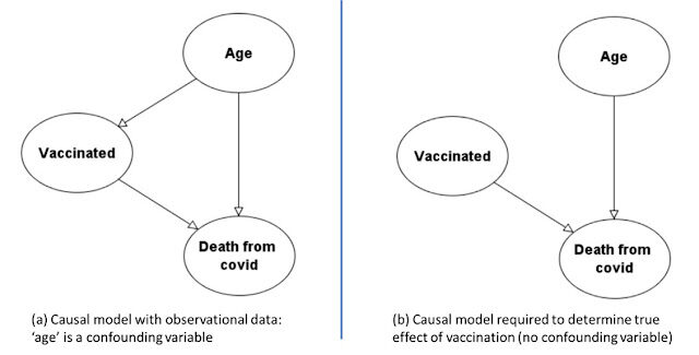Click to enlarge Causal model