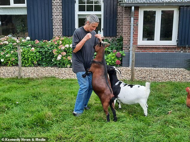 Click to enlarge goat chicken attack