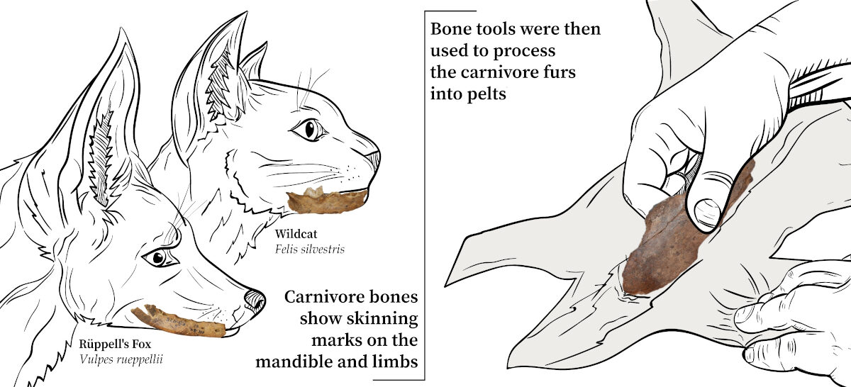 Skinned for Fur