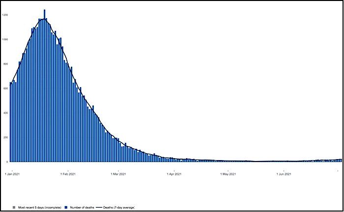 blue bar graph