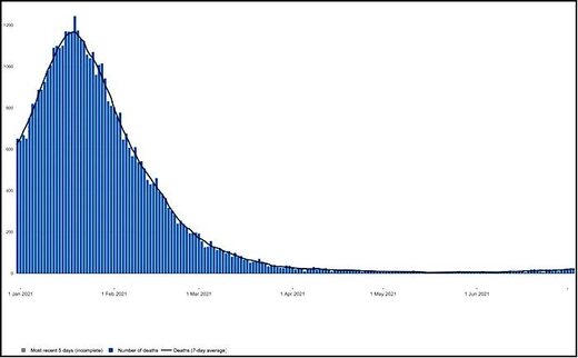 blue bar graph