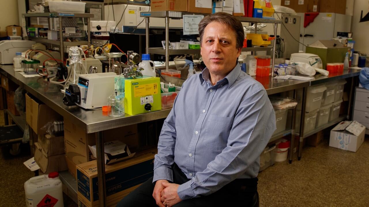 Click to enlarge Professor Nikolai Petrovsky covid vaccine