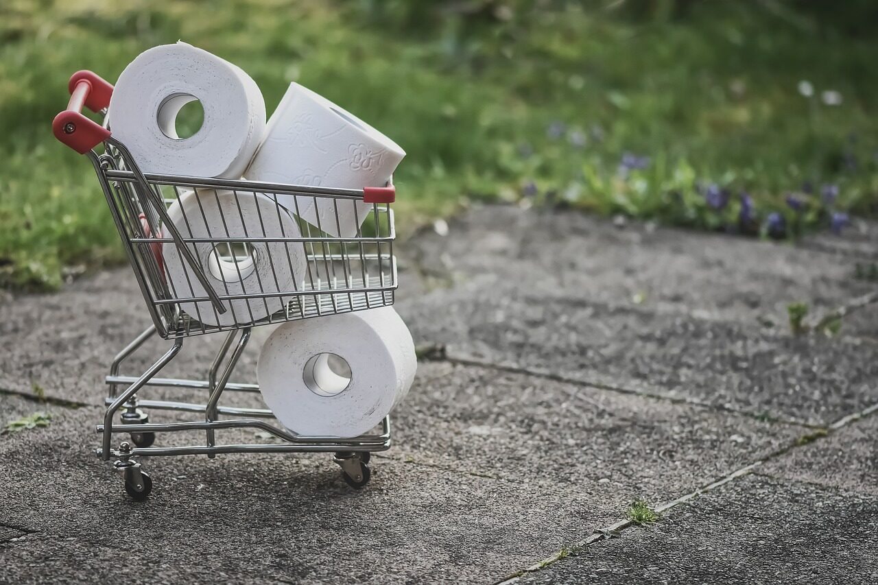 toilet paper shopping cart