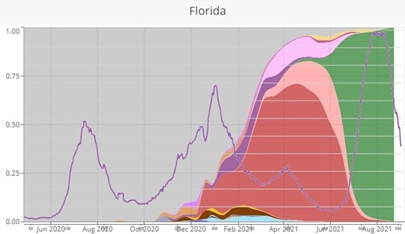 Click to enlarge Florida covid variants infections