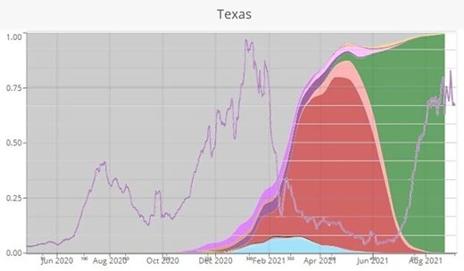 texas covid variants infections