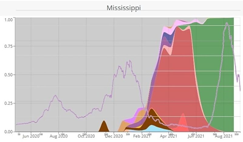 Click to enlarge mississippi covid variants infections