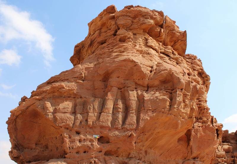 Click to enlarge Camel Carving