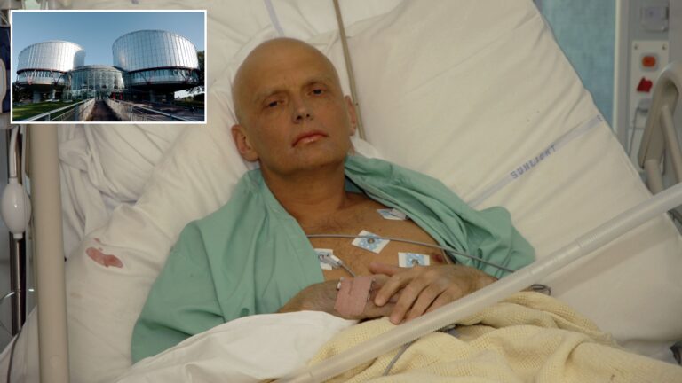 Litvinenko