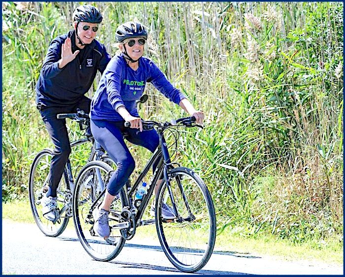 Click to enlarge Bikin'bidens