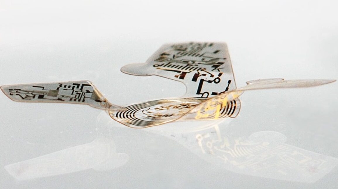winged microship