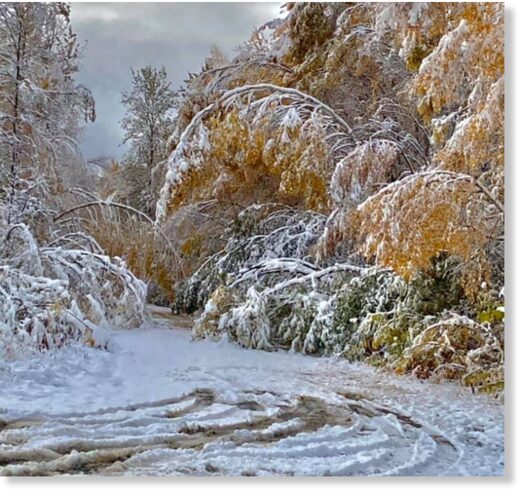 Parts Of Yukon In Canada Experience Heavy Snowfall On First Day Of Fall With Warning Issued 