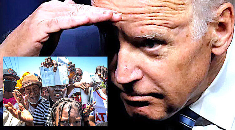 Click to enlarge Biden Other