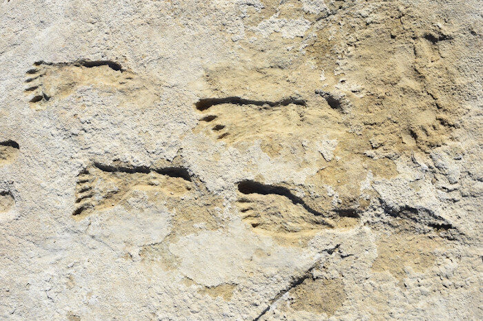 Click to enlarge Ancient Human Footprints