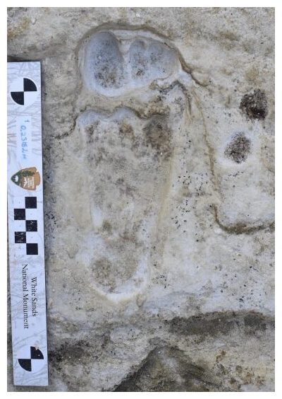 Click to enlarge Ancient Footprint