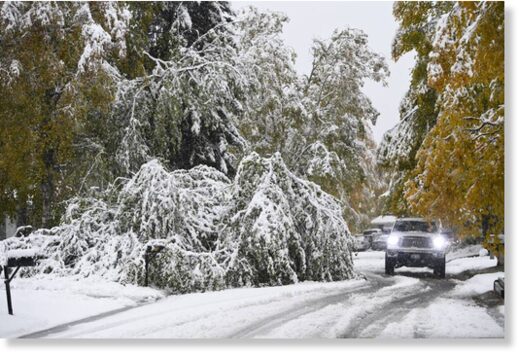 A downed tree blocks a lane of traffic on Hennings Way in East Anchorage on September 24, 2021.