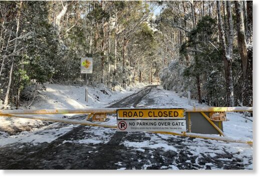Snow forced the closure of Pinnacle Rd at the Springs
