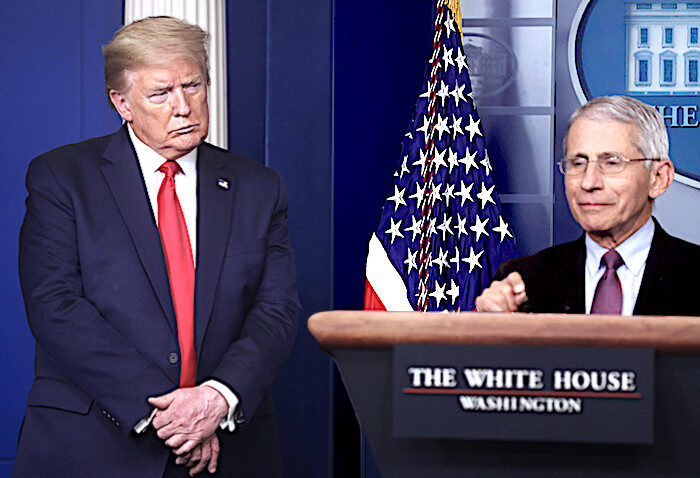 Click to enlarge TrumpFauci