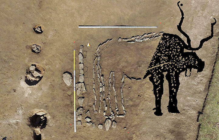 Click to enlarge bull glyph siberia nazca lines